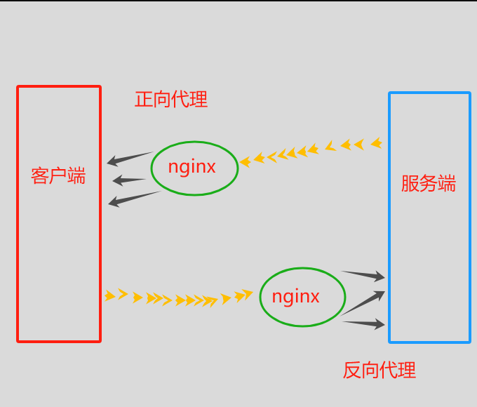 image-20250220223323846